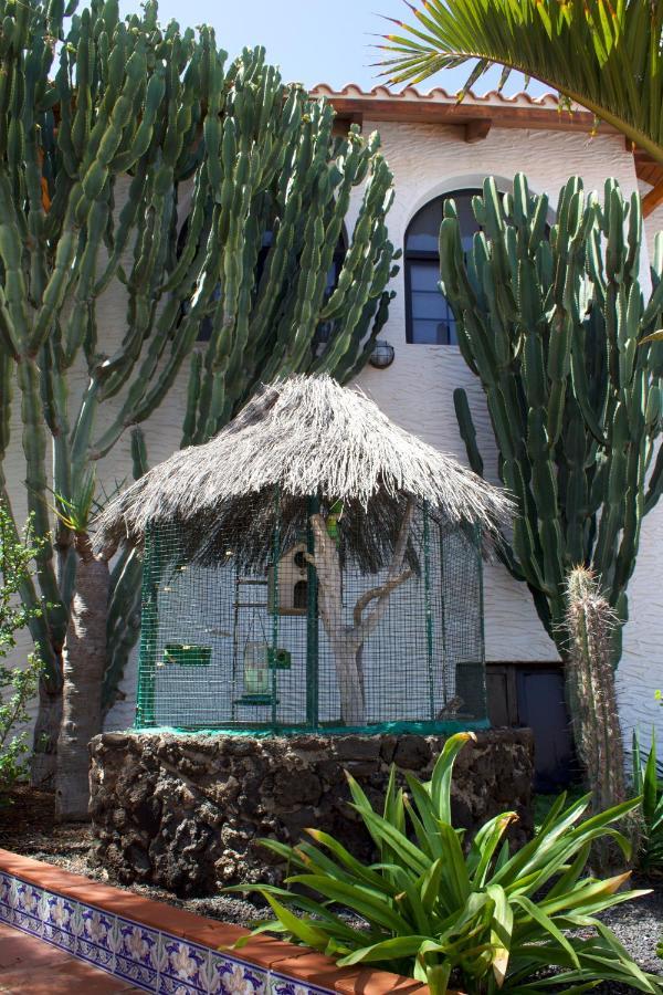 Miramar Boutique Apartments Adults Only Corralejo Buitenkant foto